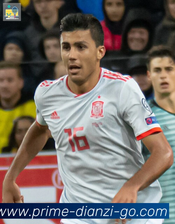 厄林·哈兰德